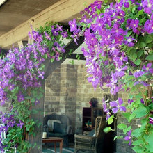 Landscape Ideas