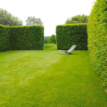 Hedges