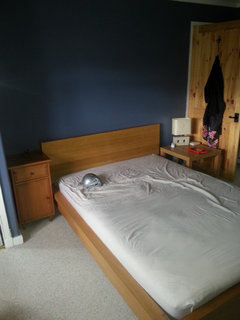 help me transform my bedroom on a budget Houzz UK