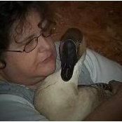 Catherine Beall's photo