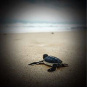 Bruce Murphy's photo