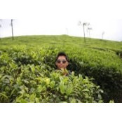 Jackson Tse's photo