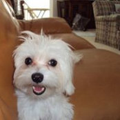 Carol Solomon's photo