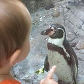 Renee Long Shearer's photo