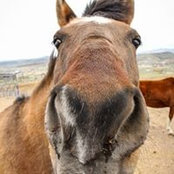 Karen Walter's photo