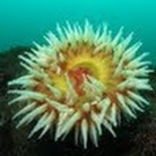 Neil Phillips's photo