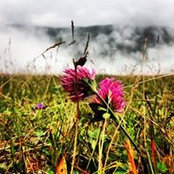 Feyza Vanlıoğlu's photo