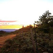 Kirk Graham's photo