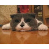 Barbara Heartwell's photo