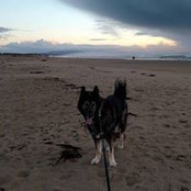 Foto von Lynne Clair
