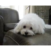 Nouf Alsaeed's photo