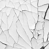 Sara Mortarino's photo