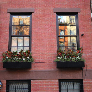 Christmas window boxes in Brooklyn
