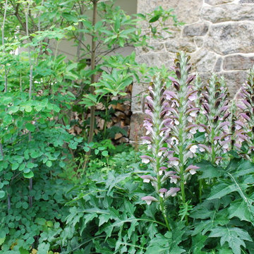 Donald Pell Garden