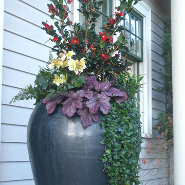 Queen Anne Containers