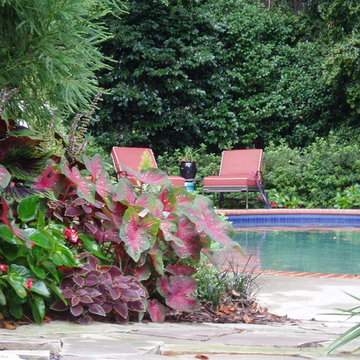 Seasonal Color Summer