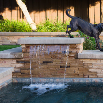 Canine Plune Pool