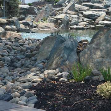 Liquid FX Pools - Michael David Winery