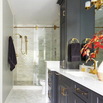 Dazzling Transitional Design Primary Bath