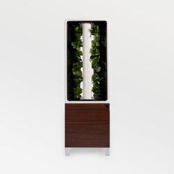 The EVE Indoor Garden - Gardening And Lawn Care
