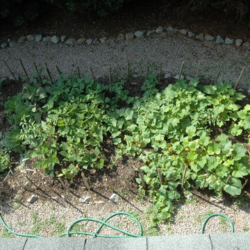 outdoor structures and landscaping