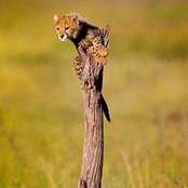 Ilana Friedman's photo