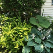 Carole Leroux's photo