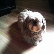 Marlene Baetz's photo