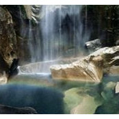 Ayah T. Asaad's photo