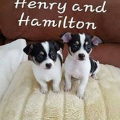 Susan Broome's photo