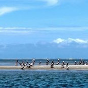 Melissa Thompson's photo