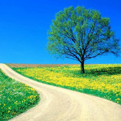 Vasuvi Joshi's photo