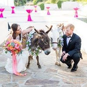 Rachel Bonds's photo