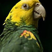 William Zhang's photo