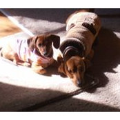 Patricia Babbitt's photo