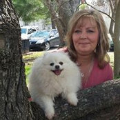 Robin Lee's photo