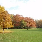 Foto von Ilona Tiesler