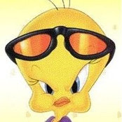 Lisa Curtss foto