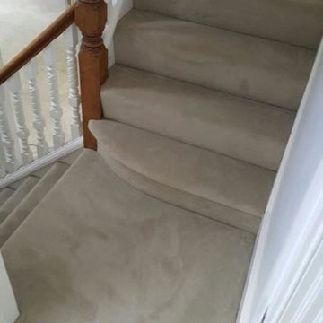 Natural Elements Carpet Installed to Areas