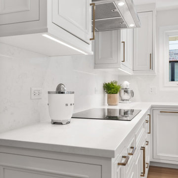 Skokie Single Family Home Remodel DESIGN BUILD