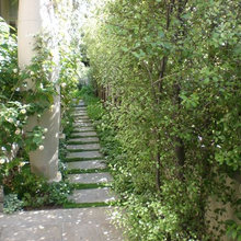 Helen