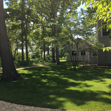 AFTER: Gravel path through woods