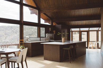 1960s kitchen photo in Denver