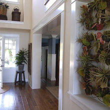 indoor plants
