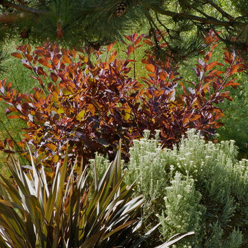 Jardin du Littoral