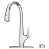 Saybrook Pull-Down Dual Spray Kitchen Faucet 1.5 GPM, Filter, Polished Chrome