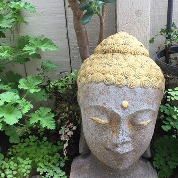 Garden path makeover