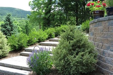 Photo of a mid-sized mediterranean side yard garden in New York with a garden path and concrete pavers.