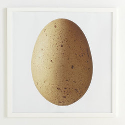 Bird's Egg Wall Art - Speckled - Artwork