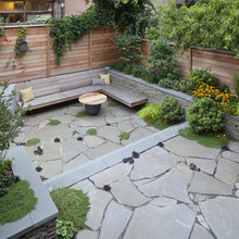 Dad's Backyard